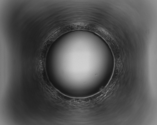 X0000097800774200803201356