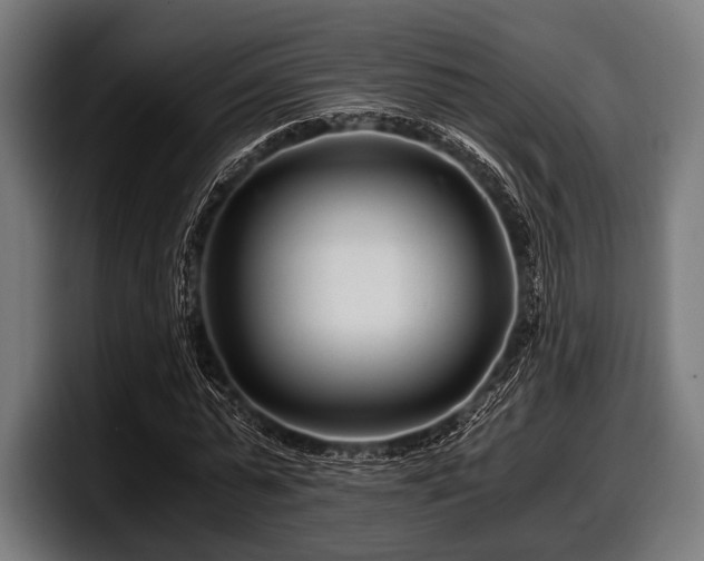 X0000097800775200803201356