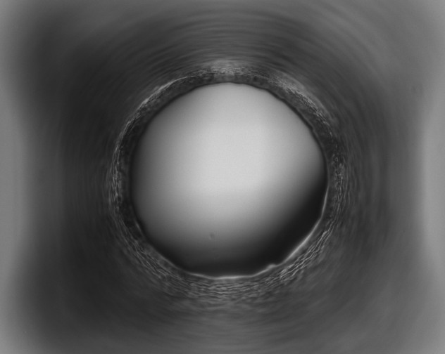 X0000097800776200803201356