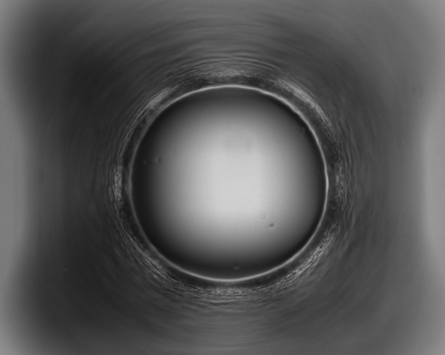 X0000097800777200803201356