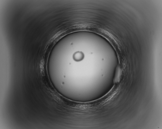 X0000097800778200803201356