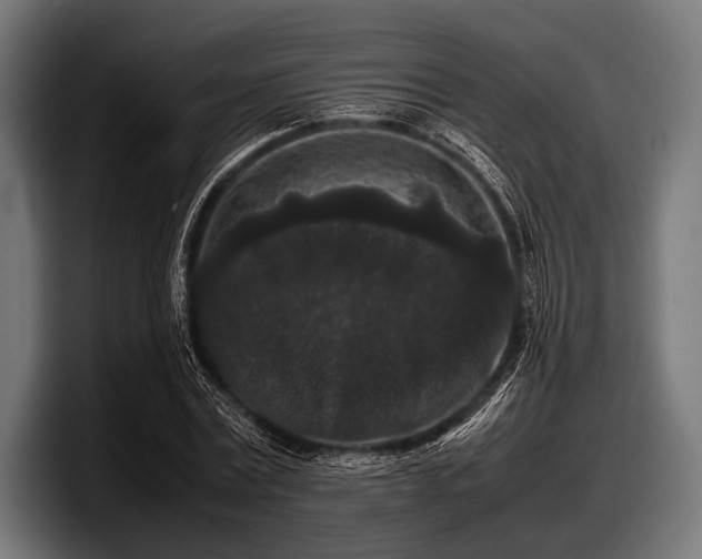 X0000097800779200803201356