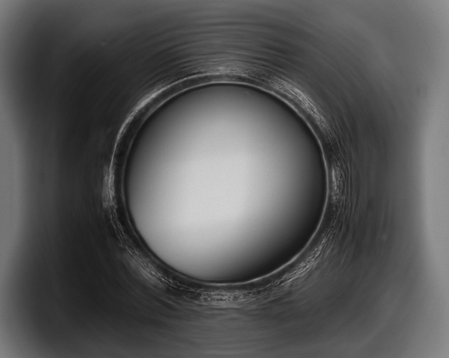 X0000097800780200803201356