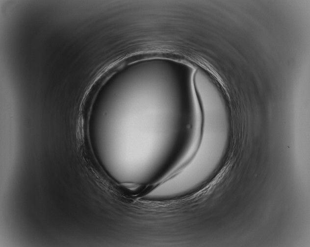 X0000097800781200803201356