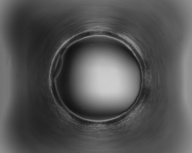 X0000097800783200803201356