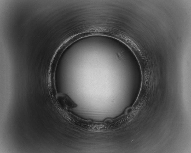 X0000097800784200803201356