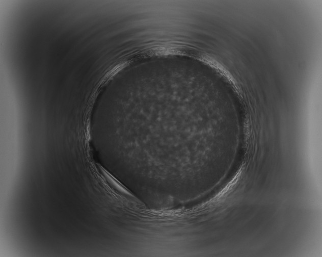 X0000097800785200803201356