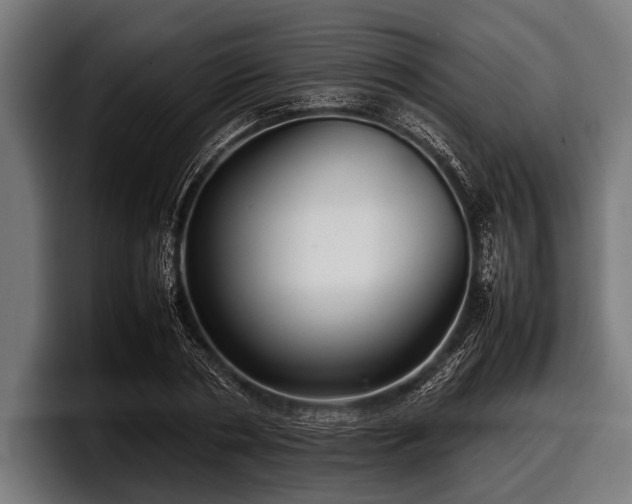 X0000097800786200803201356