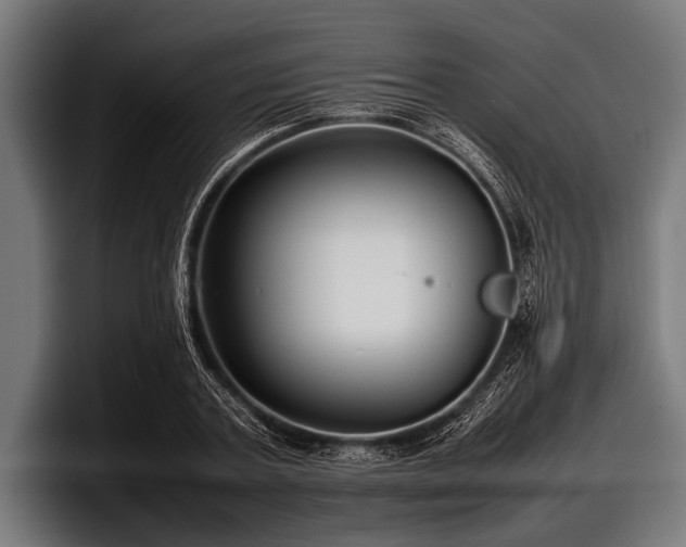 X0000097800787200803201356