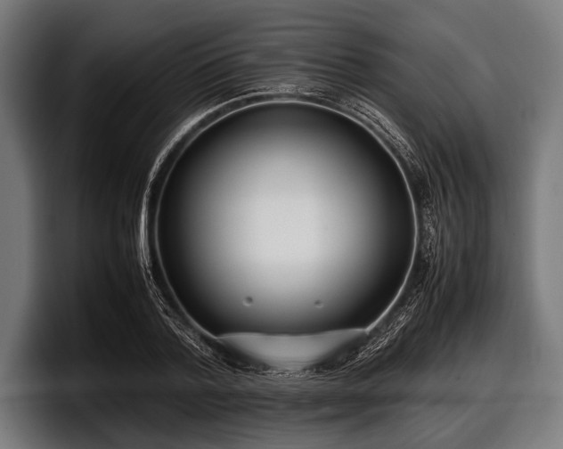 X0000097800788200803201356