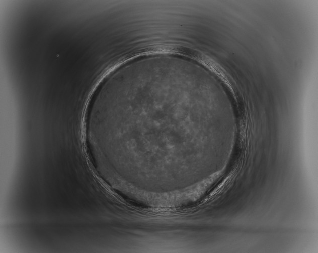 X0000097800789200803201356