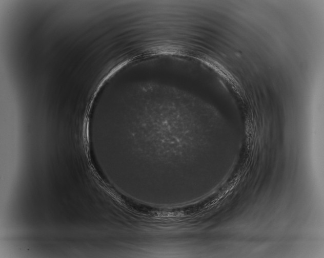 X0000097800790200803201356