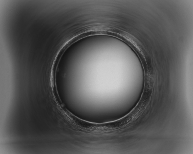 X0000097800791200803201356