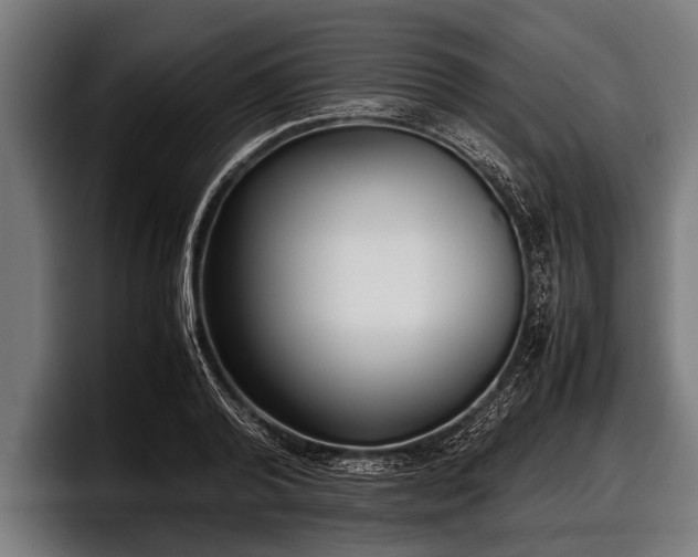 X0000097800792200803201356