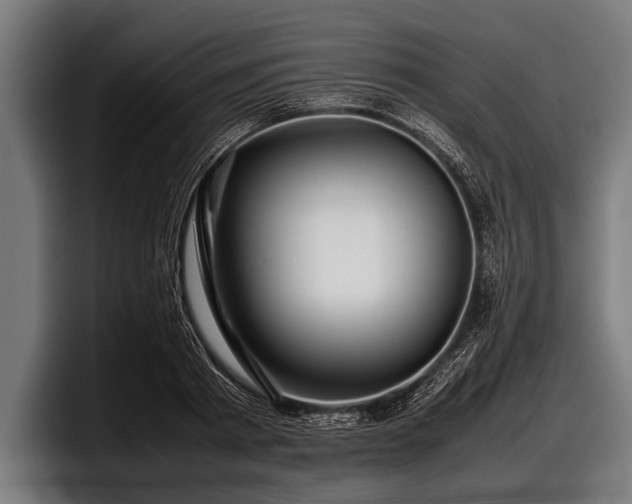 X0000097800793200803201356