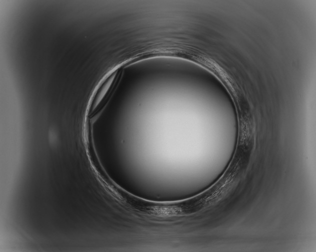 X0000097800795200803201356