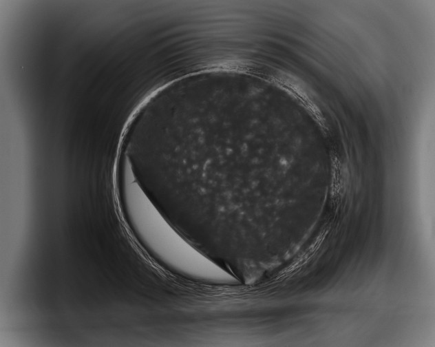 X0000097800796200803201356