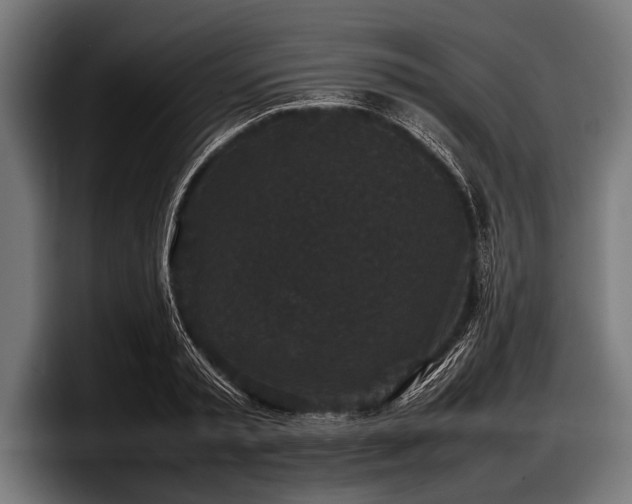 X0000097800797200803201356