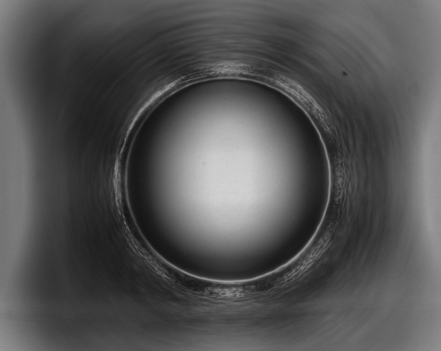 X0000097800798200803201356