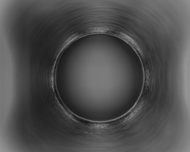 X0000097800802200803201356