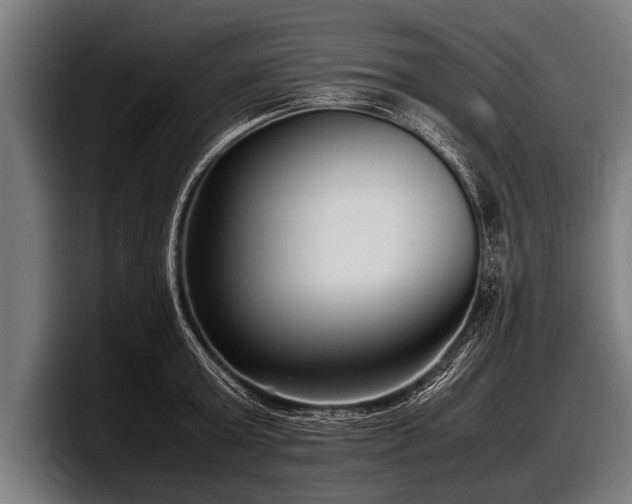 X0000097800803200803201356