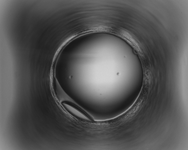 X0000097800804200803201356