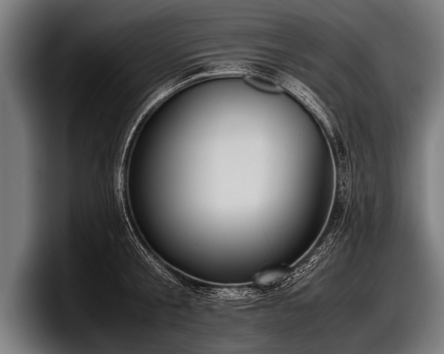 X0000097800805200803201356