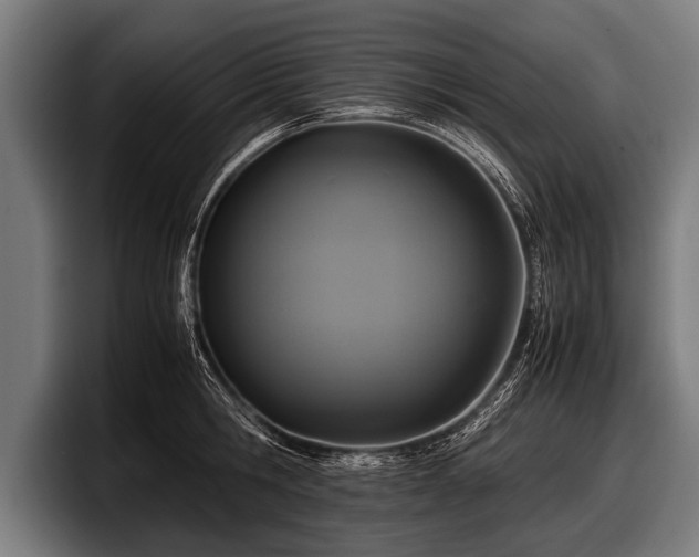 X0000097800806200803201356