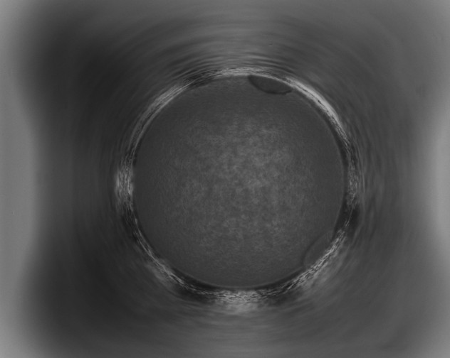 X0000097800809200803201356