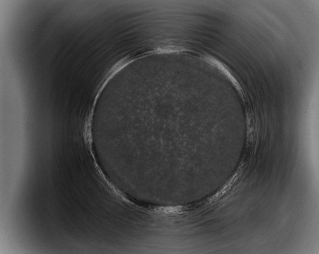 X0000097800810200803201356