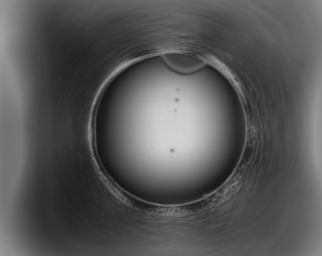 X0000097800811200803201356