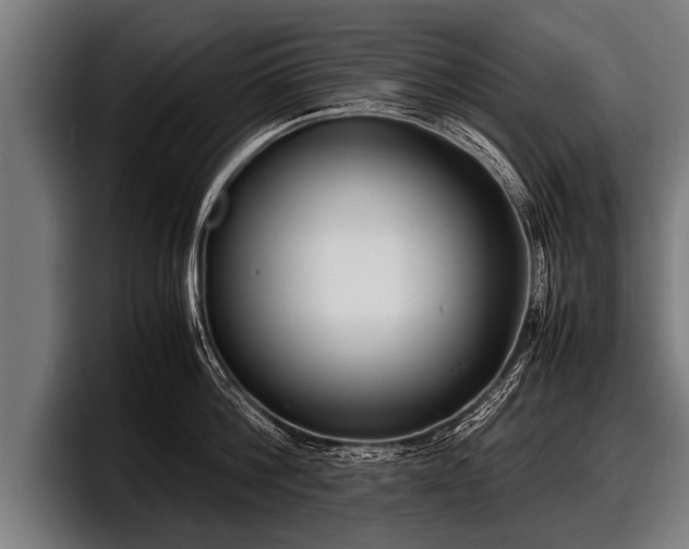 X0000097800812200803201356