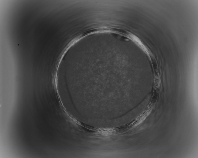 X0000097800813200803201356