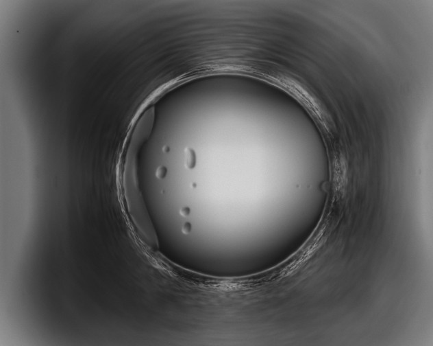 X0000097800814200803201356