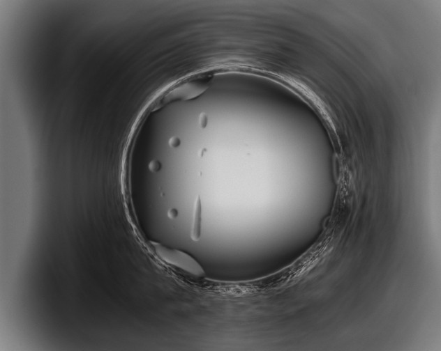 X0000097800815200803201356