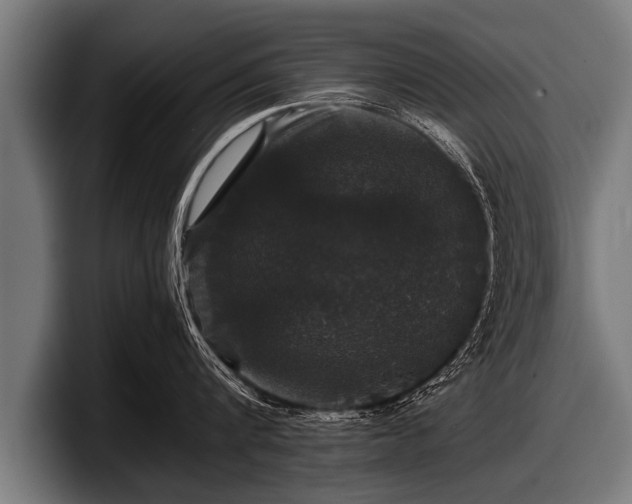 X0000097800816200803201356