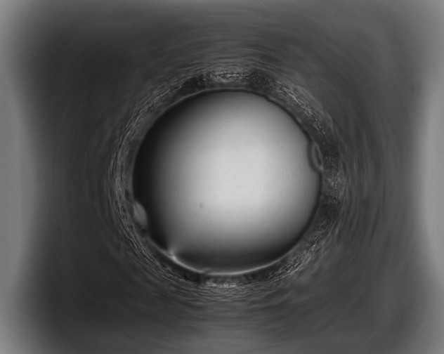 X0000097800817200803201355