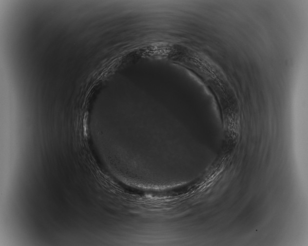 X0000097800818200803201355