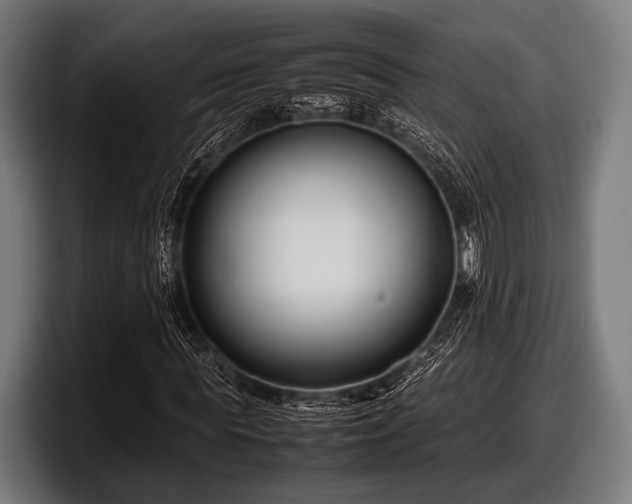 X0000097800819200803201355