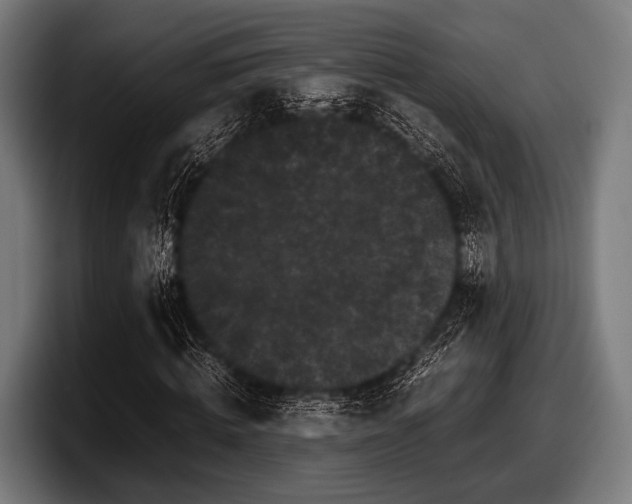 X0000097800820200803201355