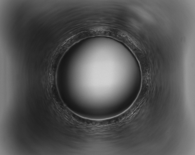 X0000097800821200803201355