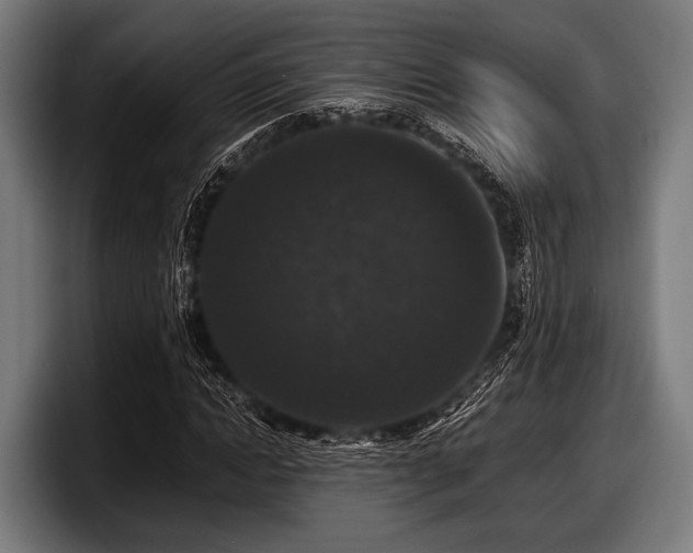 X0000097800822200803201355