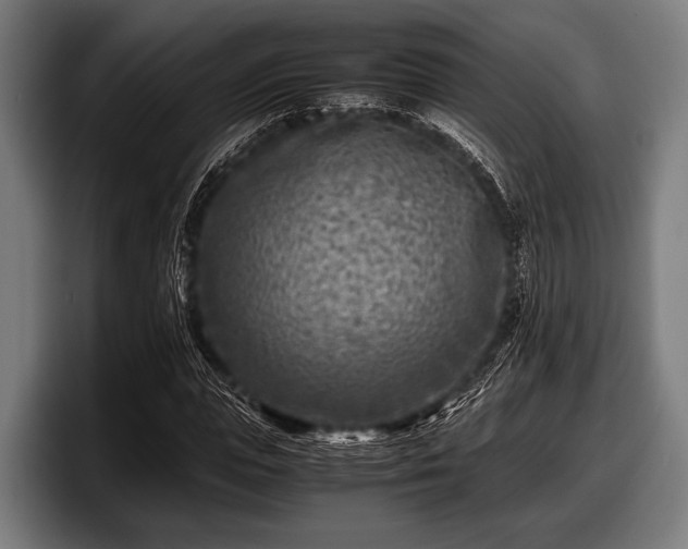 X0000097800823200803201355