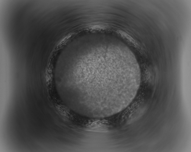 X0000097800824200803201355