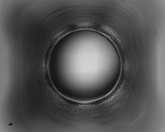 X0000097800825200803201355