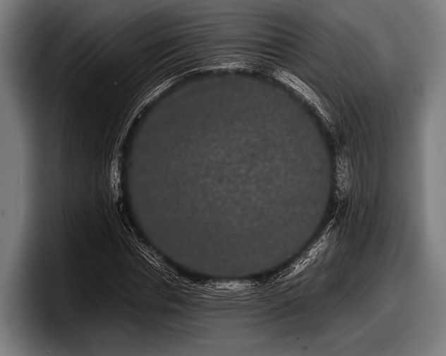 X0000097800826200803201355