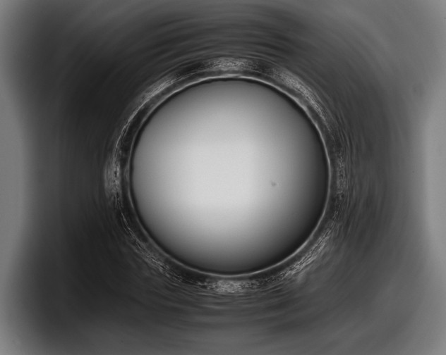 X0000097800827200803201355