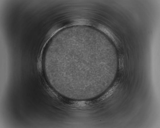 X0000097800828200803201355