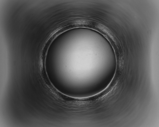 X0000097800829200803201355