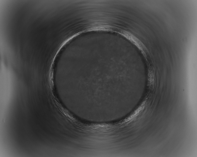 X0000097800830200803201355